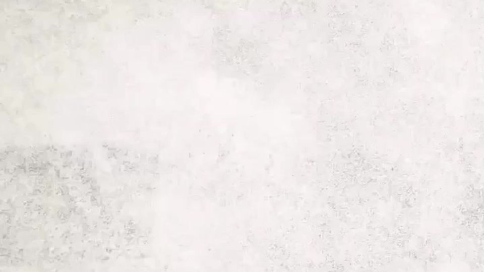 Showcase Video 2